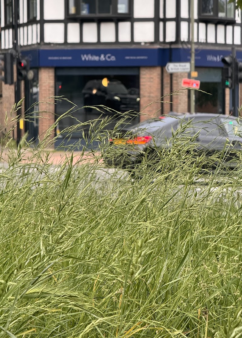 West Wickham Dental Practice