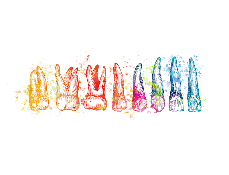 Ashdown Dental Practice
