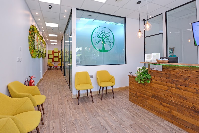 Olive Tree Dental