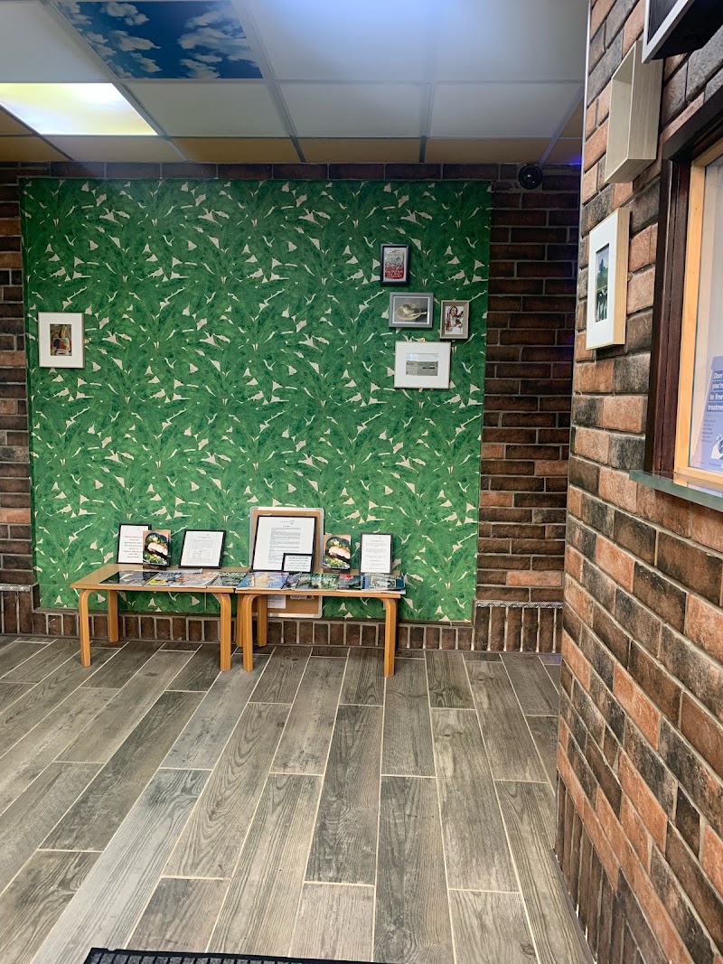 Fusion Dental Practice