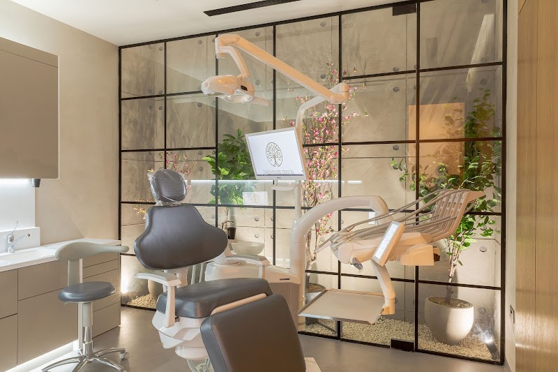 Treehouse Dental