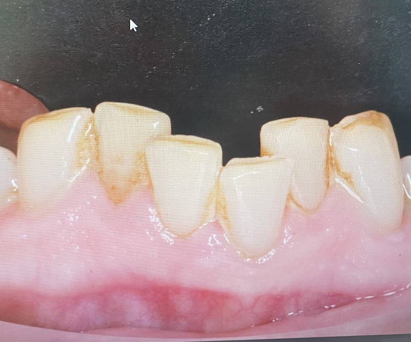 Montrose Smile Studio