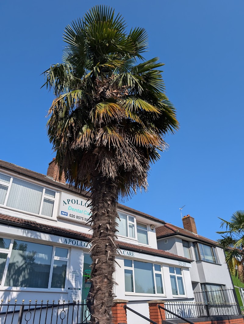 Apollonia Dental Care