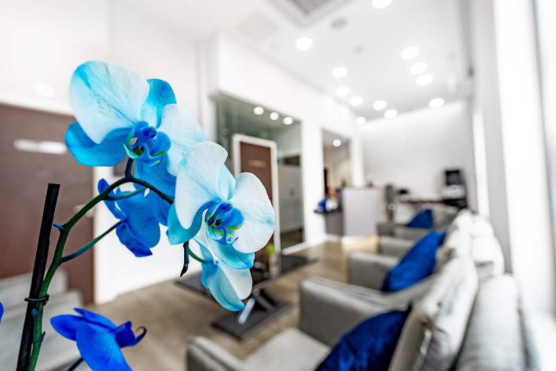 The Cosmetic Dental Gallery