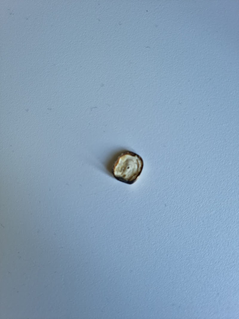 SunnyDent Dental Practice